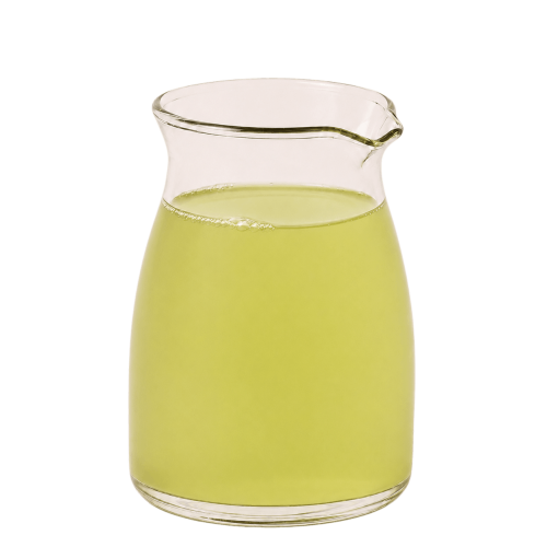 Green Apple Syrup 2.7kg